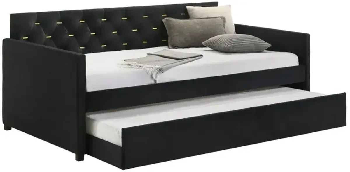 Kendall - Upholstered Twin Daybed With Trundle - Black