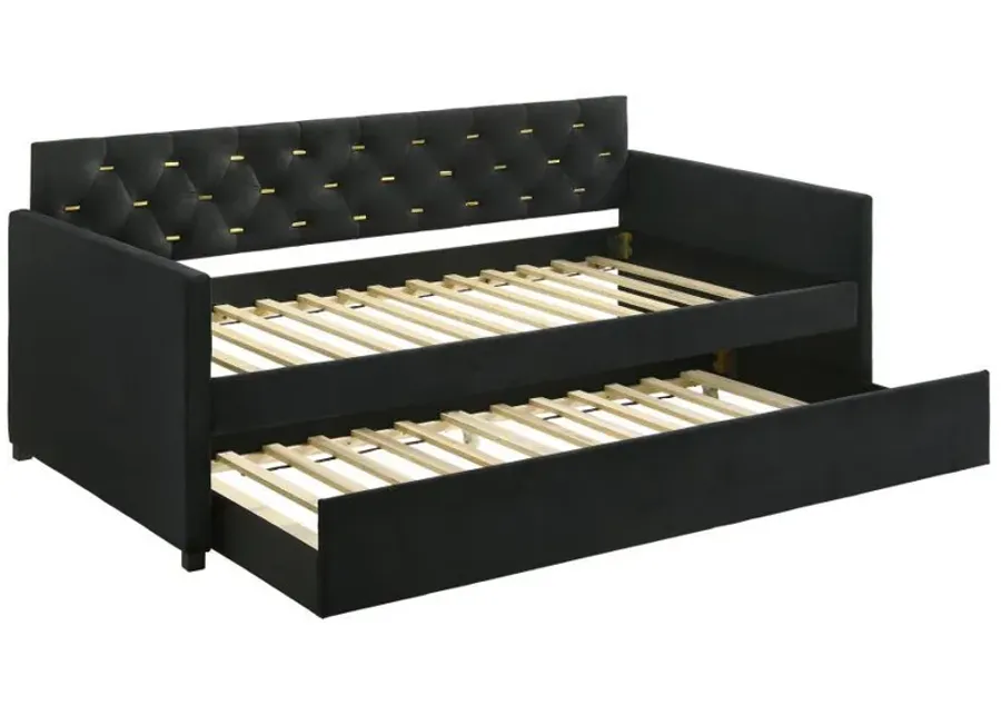 Kendall - Upholstered Tufted Twin Daybed - Black