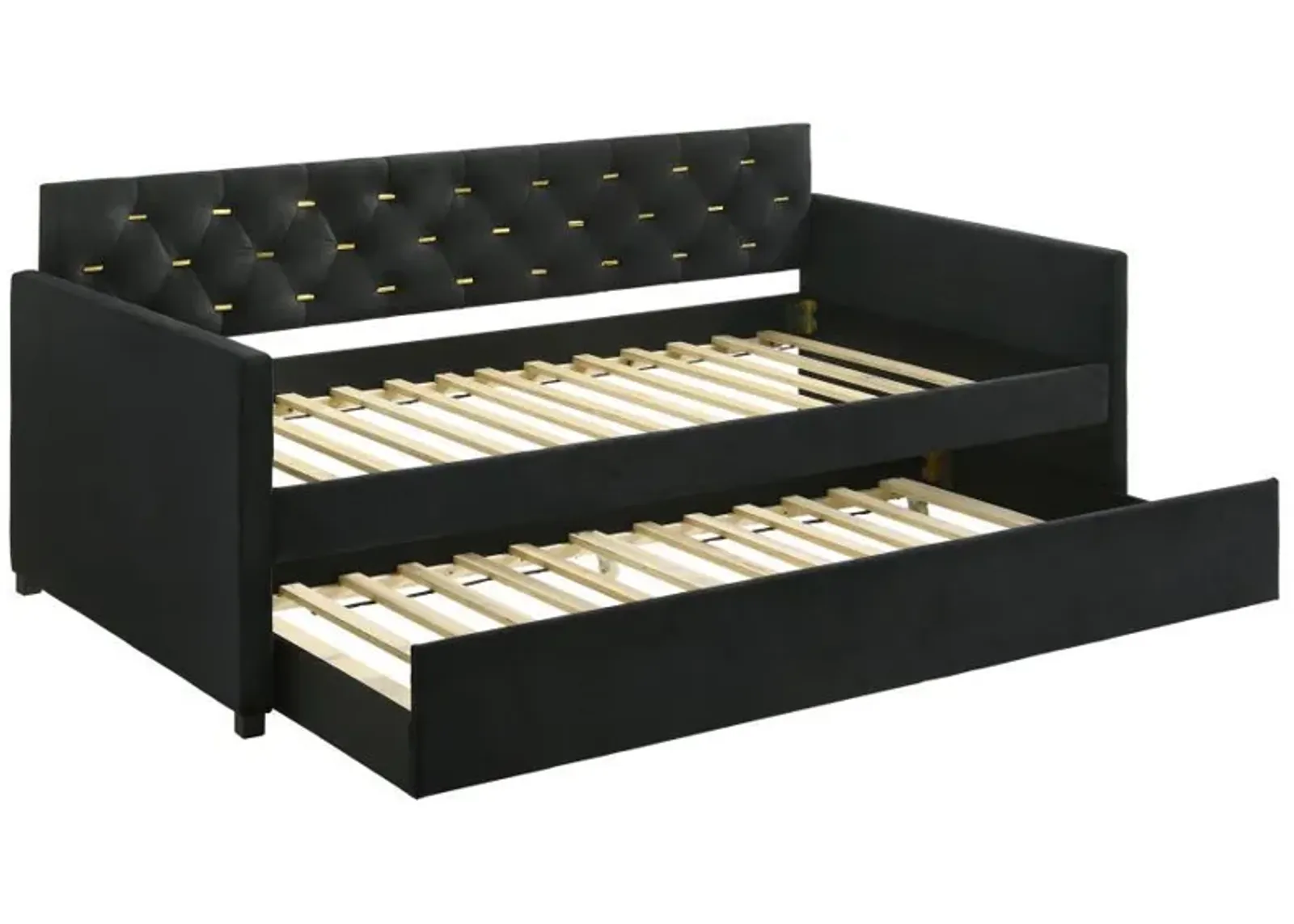 Kendall - Upholstered Twin Daybed With Trundle - Black