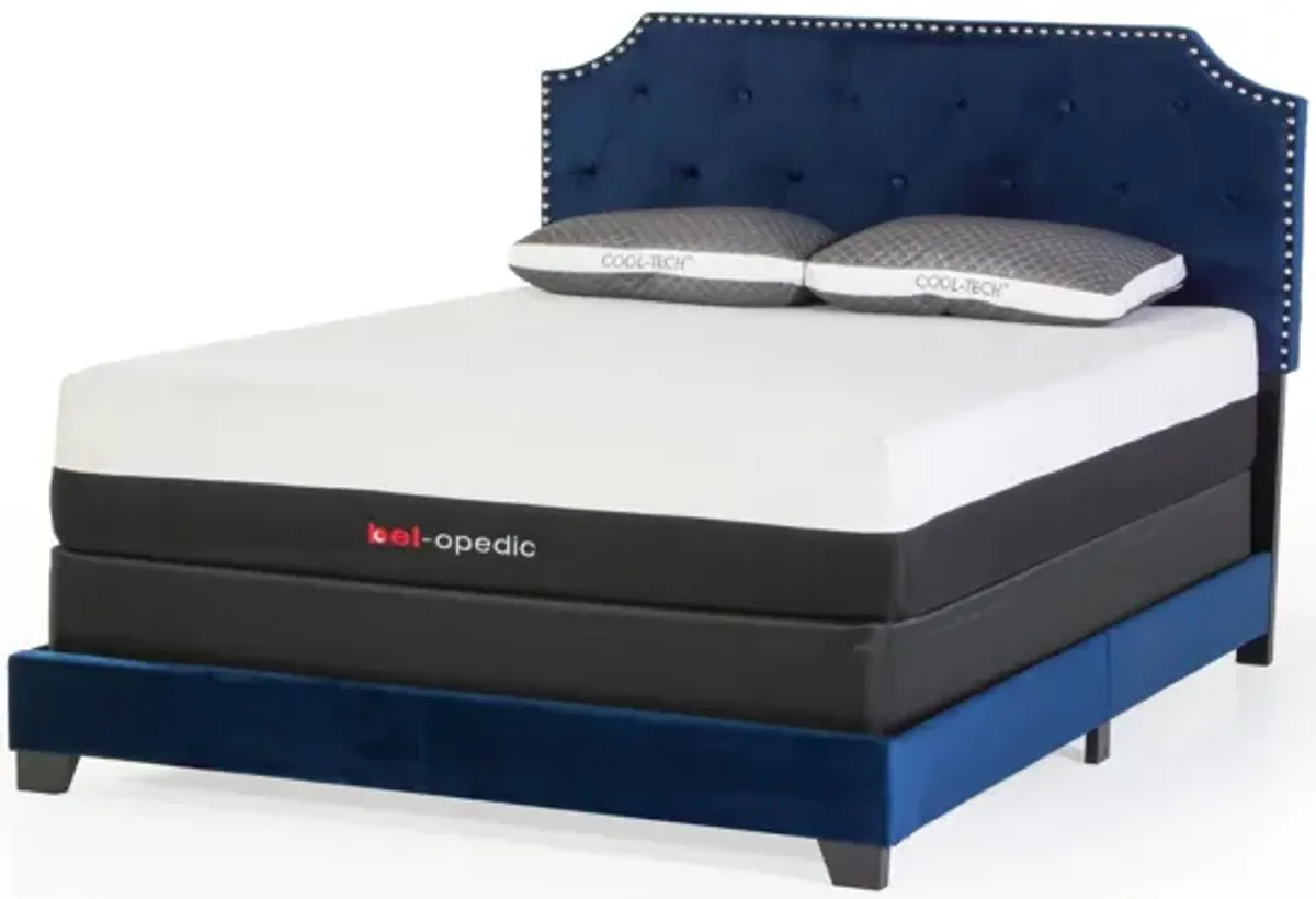 Navy Blue Tufted Headboard Low Profile Panel Bed