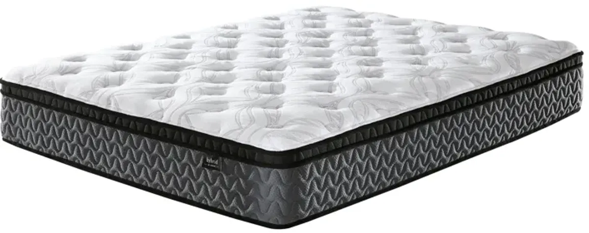 12 Inch Pocketed Hybrid - Mattress