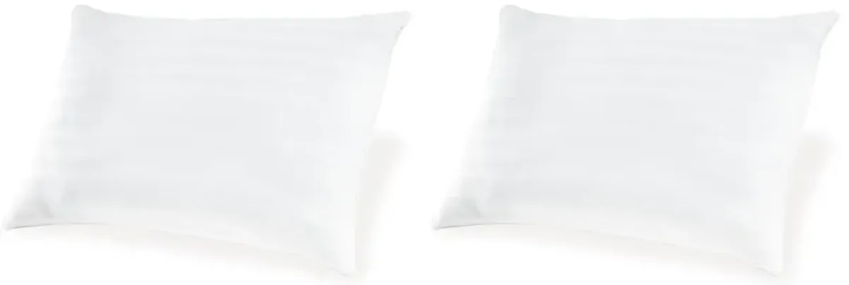 Zephyr 2.0 - Cotton Pillow