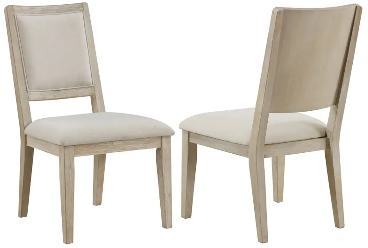 Trofello - Cushioned Dining Side Chair (Set of 2) - White Washed