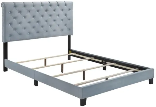 Warner - Upholstered Bed