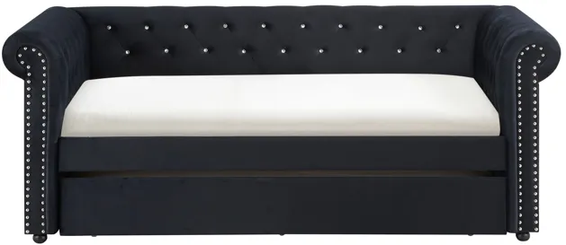 Ellie - Daybed - Black