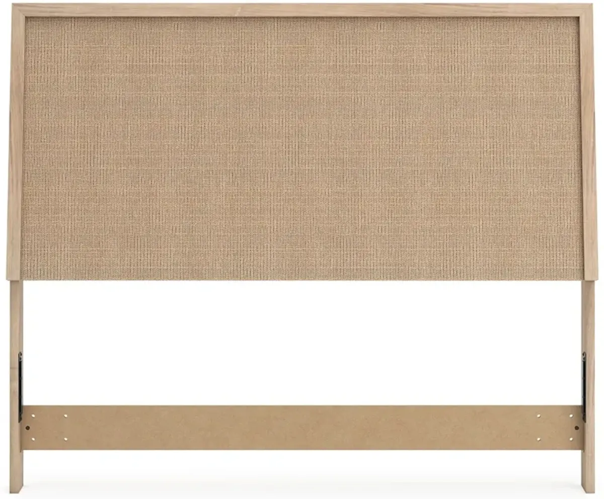 Cielden - Two-Tone - Panel Headboard