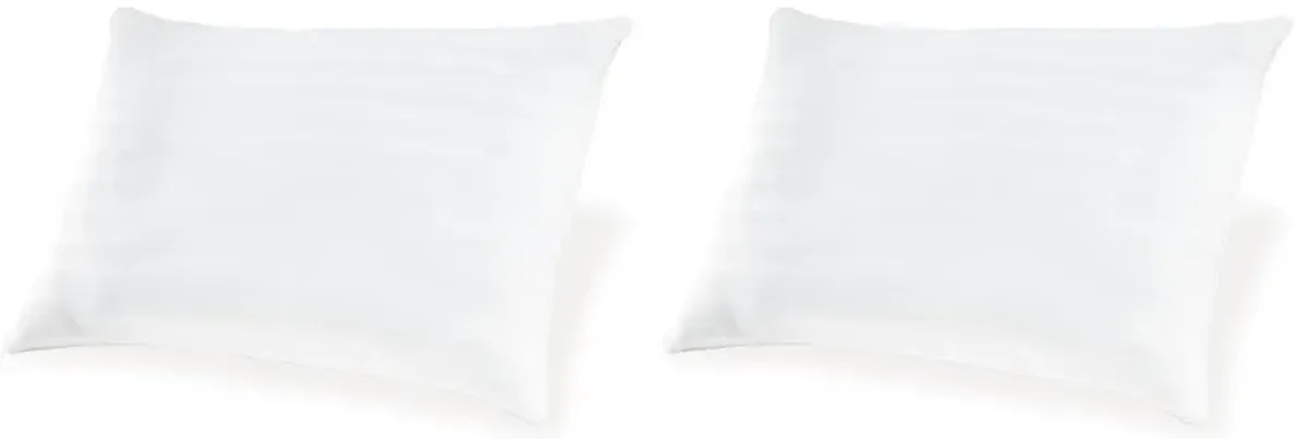 Zephyr 2.0 - Cotton Pillow