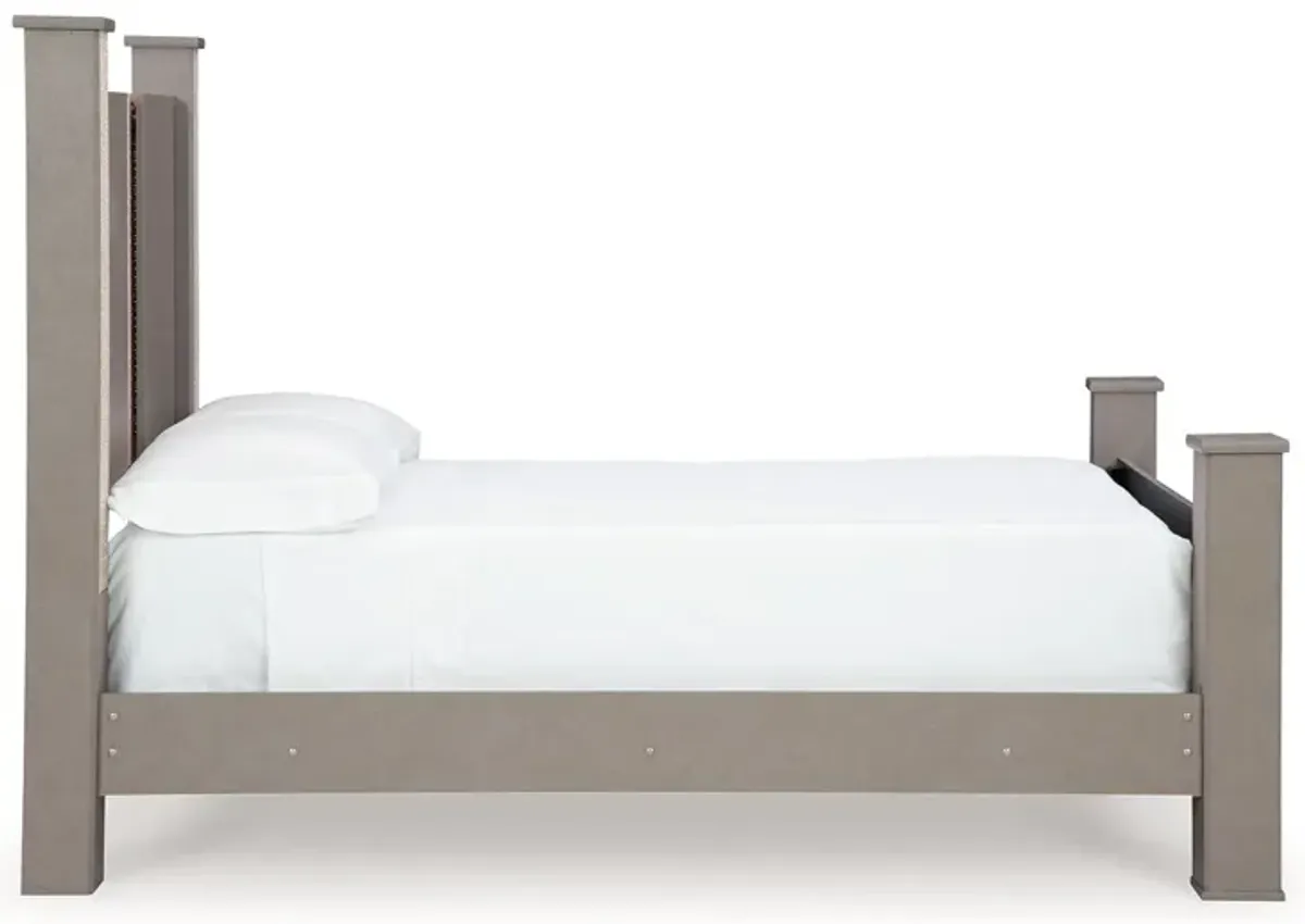 Surancha - Poster Bed