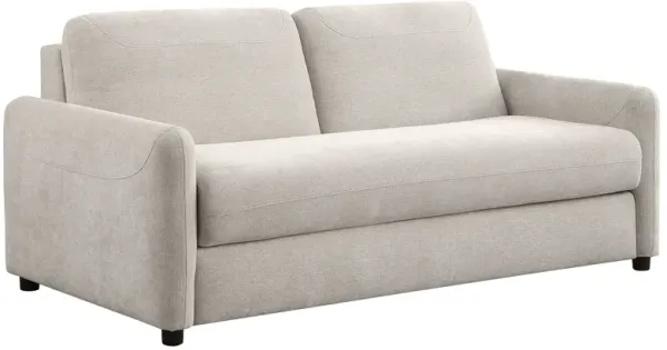 Rylie - Upholstered Sofa Sleeper With Queen Mattress