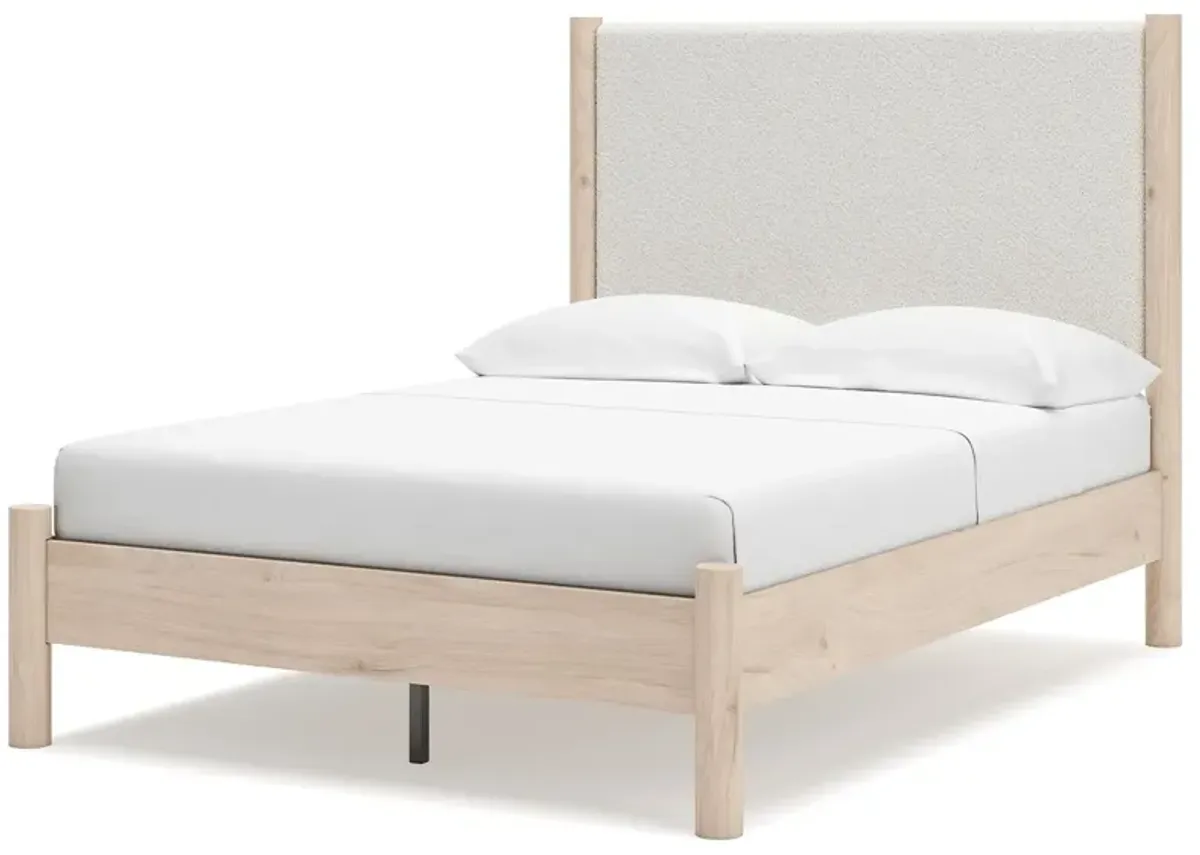 Cadmori - Upholstered Panel Bed