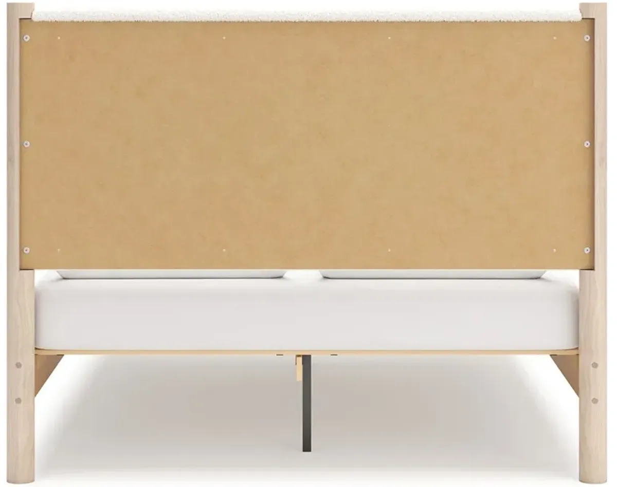 Cadmori - Upholstered Panel Bed