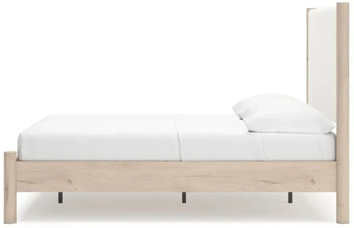 Cadmori - Upholstered Panel Bed