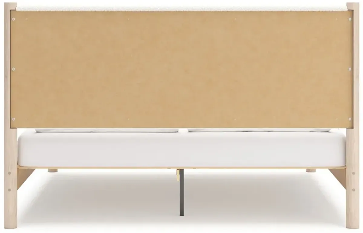 Cadmori - Upholstered Panel Bed