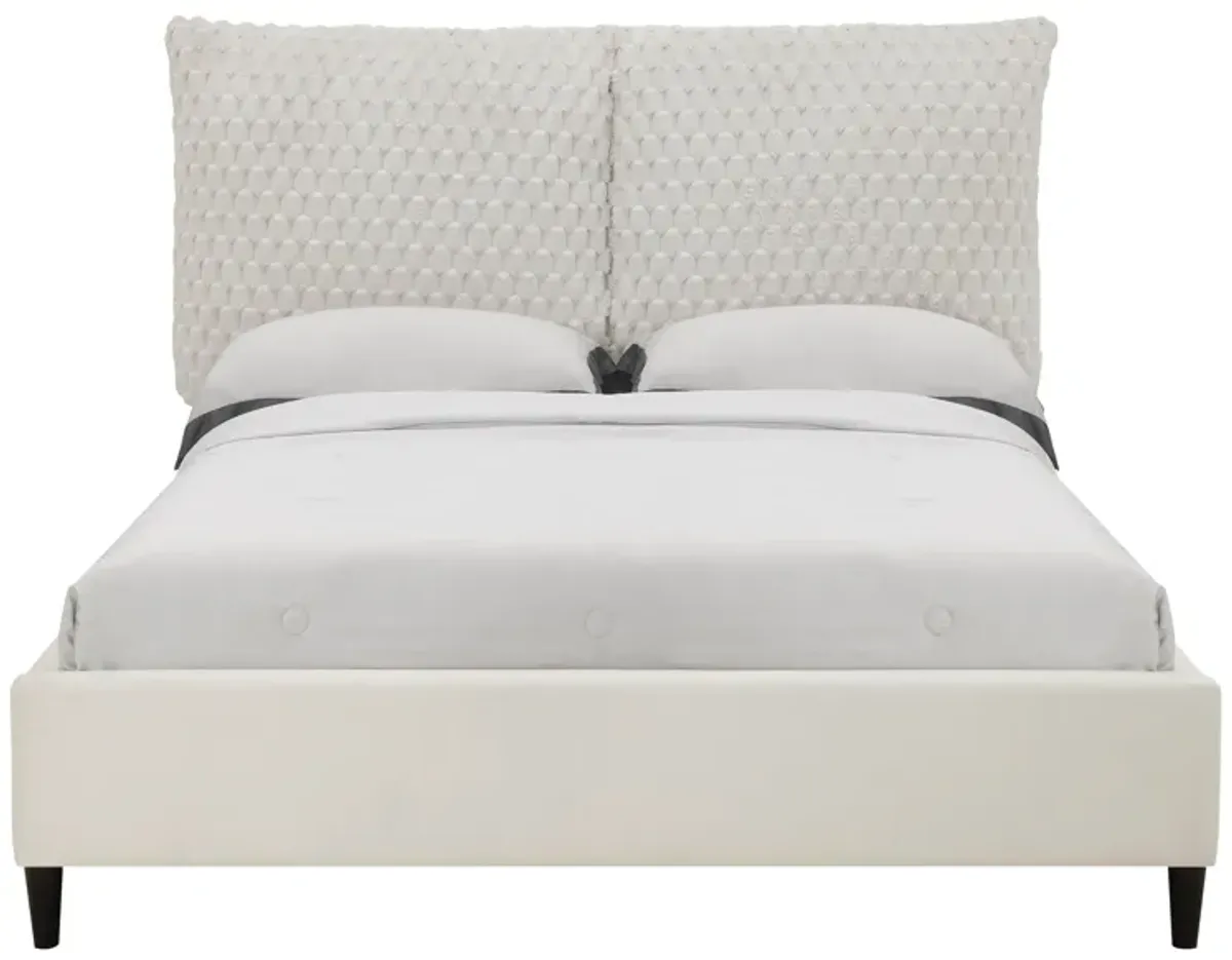 Violet - Queen Bed - White Dove