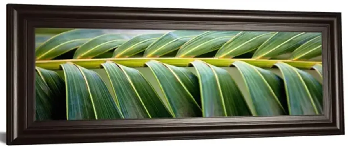 Palma I By Susan Bryant - Framed Print Wall Art - Green