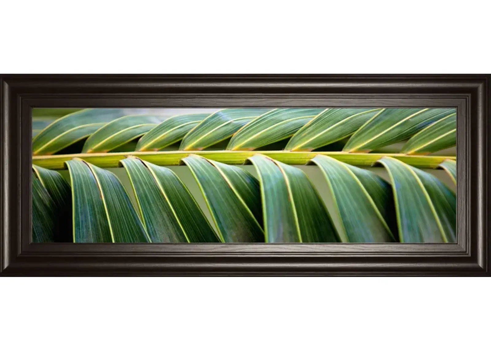 Palma I By Susan Bryant - Framed Print Wall Art - Green