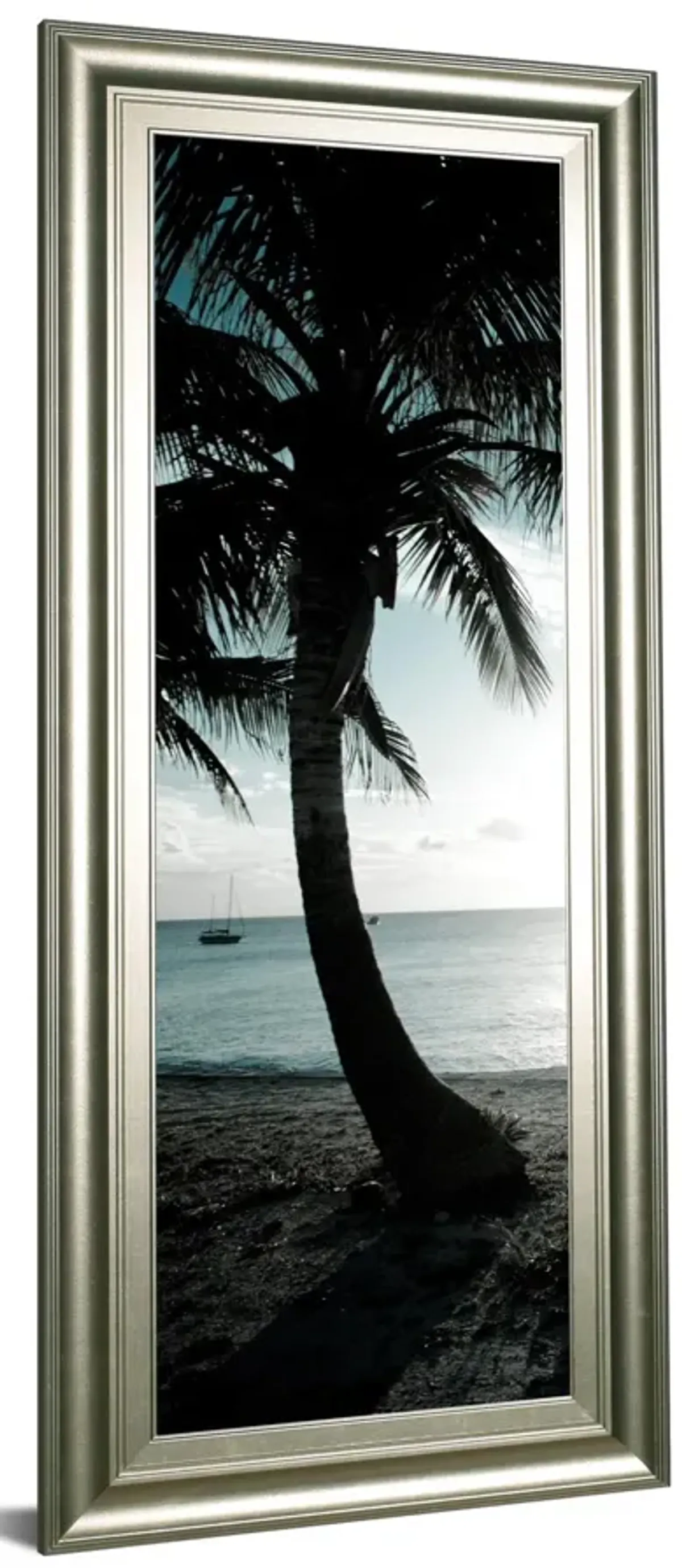 Cool Bimini Palms Il By Susan Bryant - Framed Print Wall Art - Black