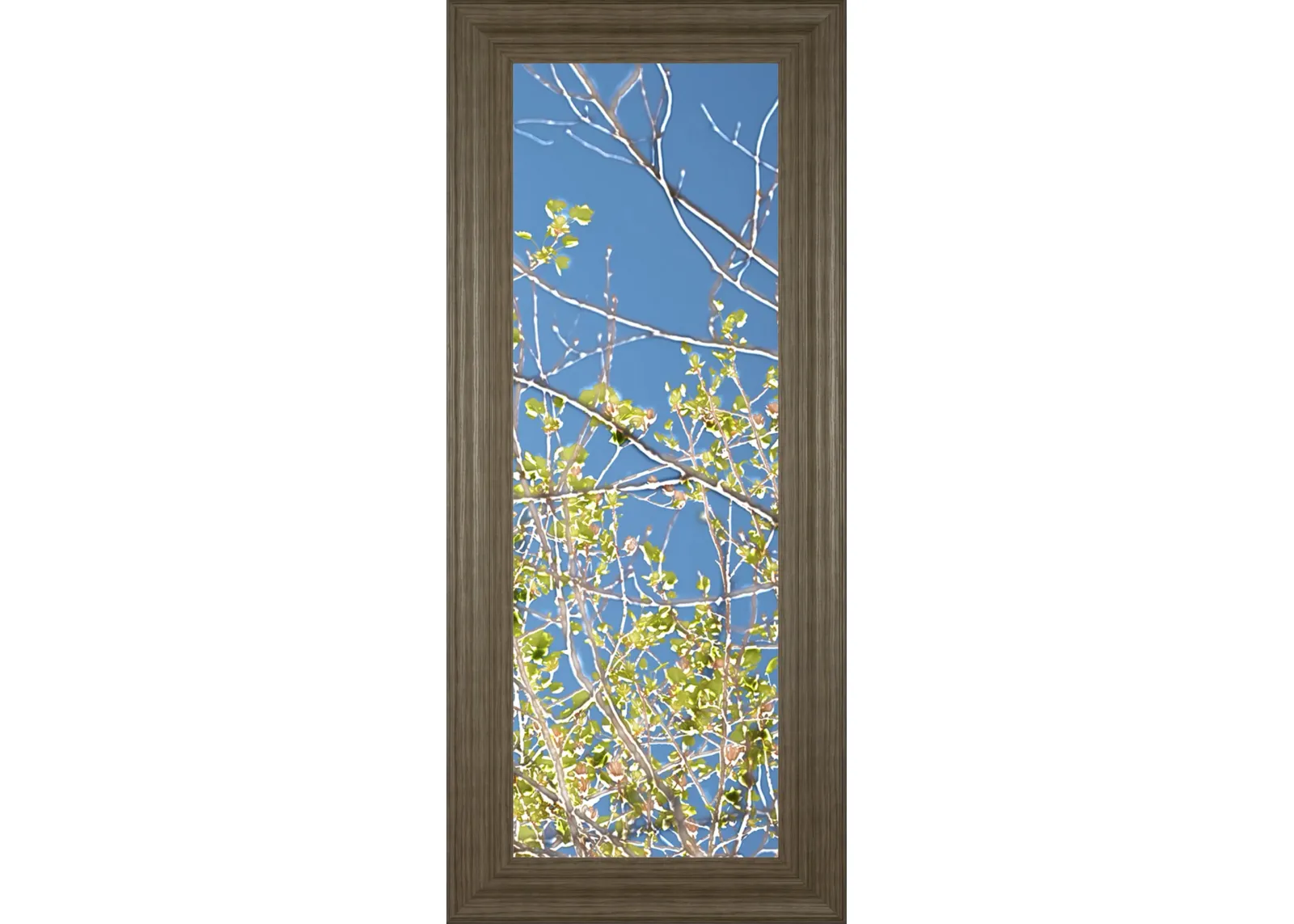 Spring Poplars IV By Sharon Chandler - Framed Print Wall Art - Green