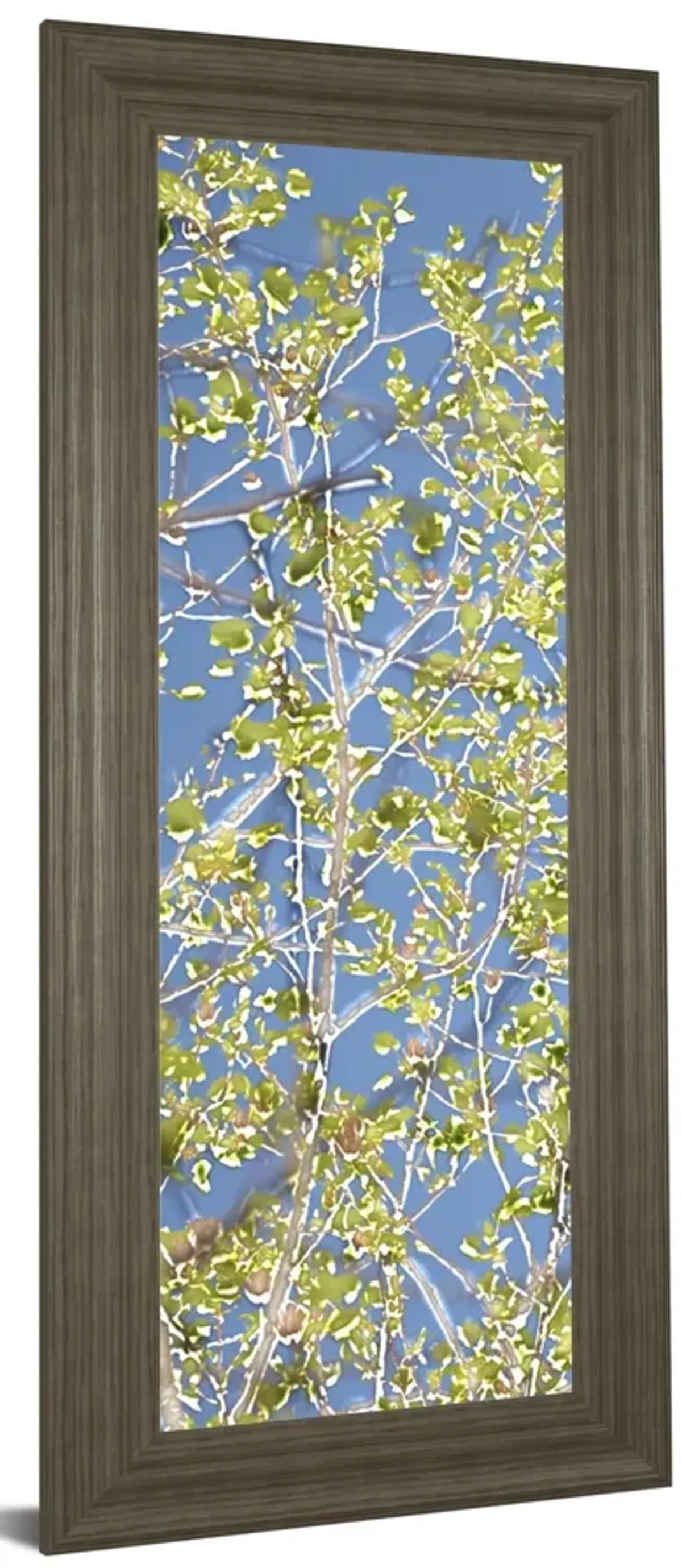 Spring Poplars I By Sharon Chandler - Framed Print Wall Art - Green