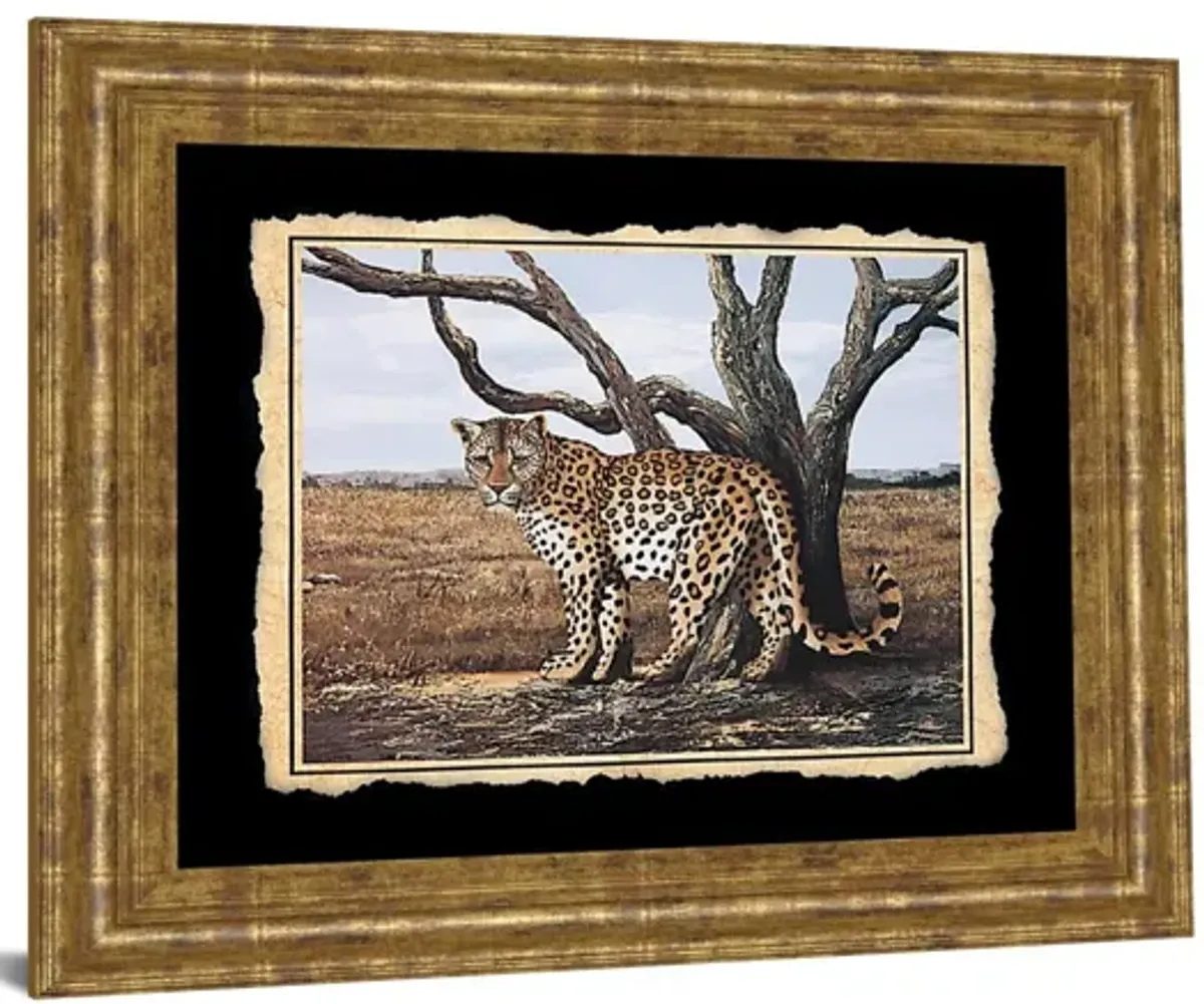 Cheetah - Framed Print Wall Art - Beige