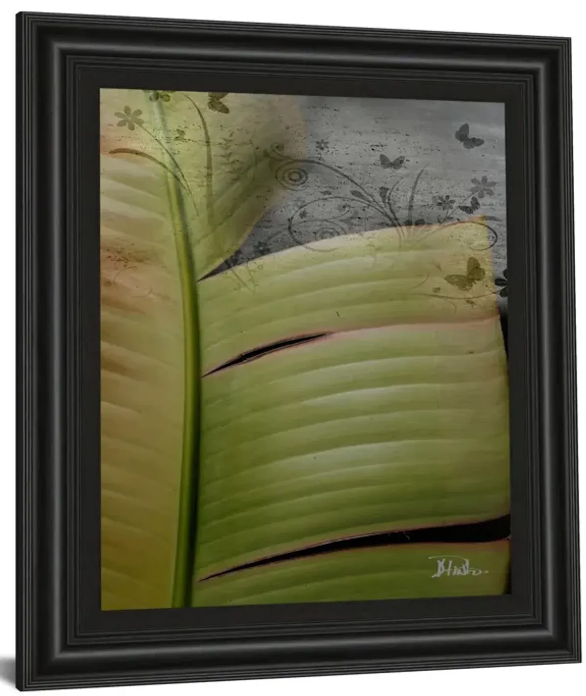 Butterfly Palm Il By Patricia Pinto - Framed Print Wall Art - Green