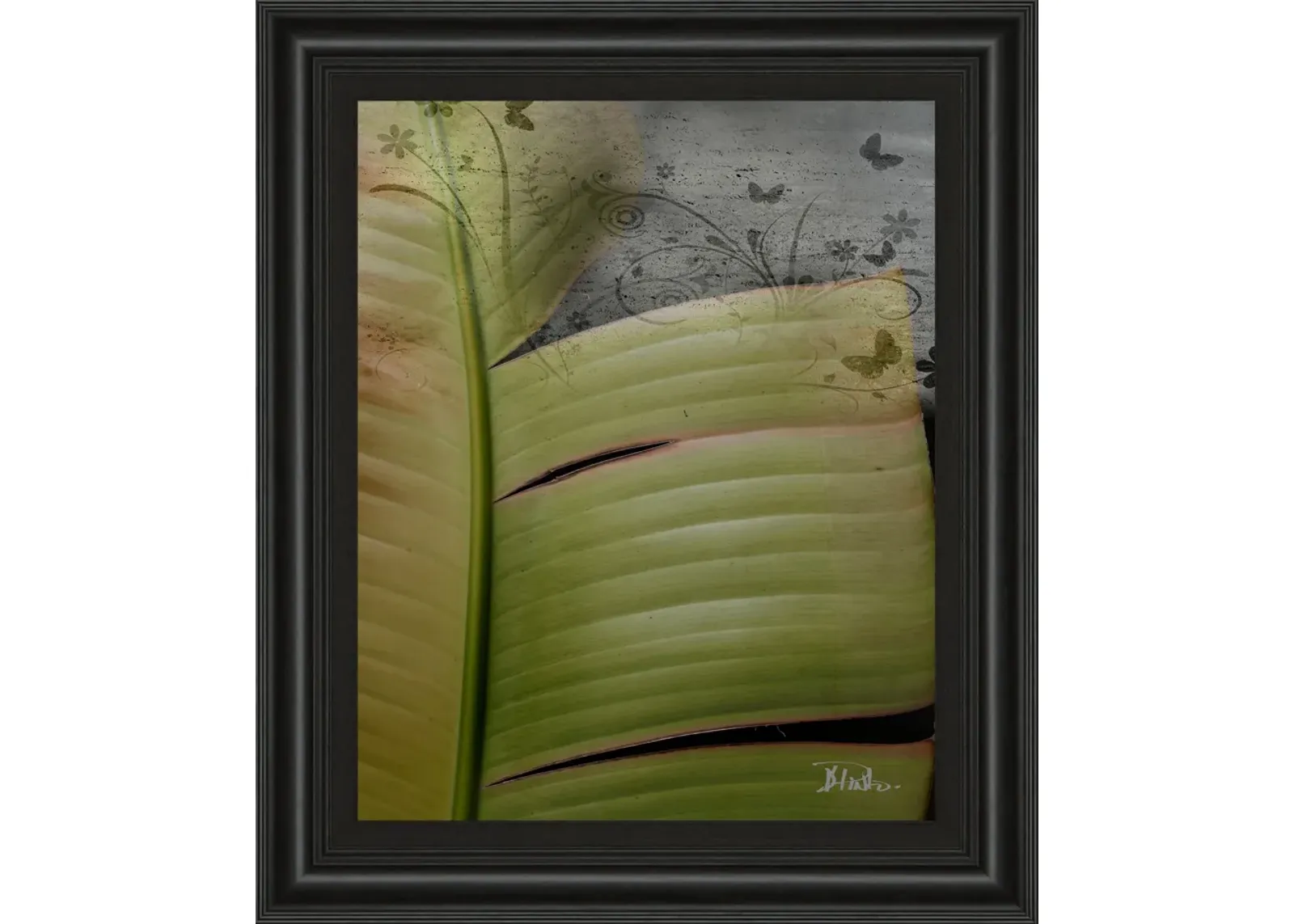 Butterfly Palm Il By Patricia Pinto - Framed Print Wall Art - Green