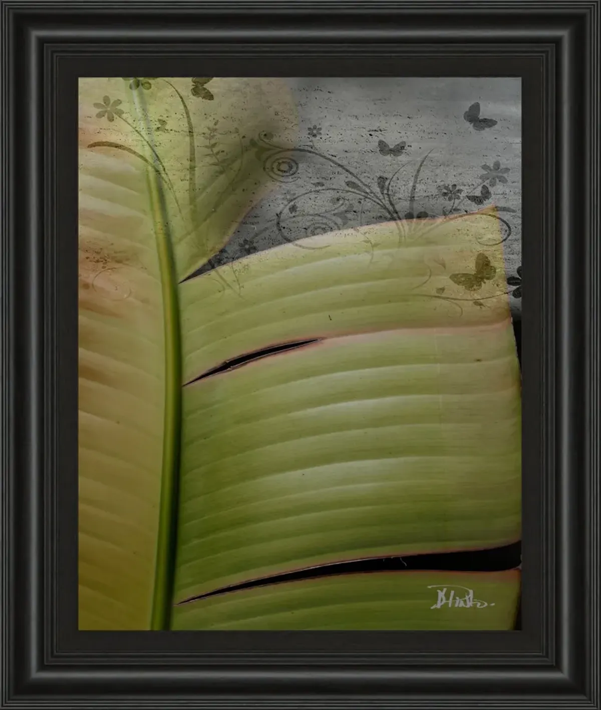 Butterfly Palm Il By Patricia Pinto - Framed Print Wall Art - Green