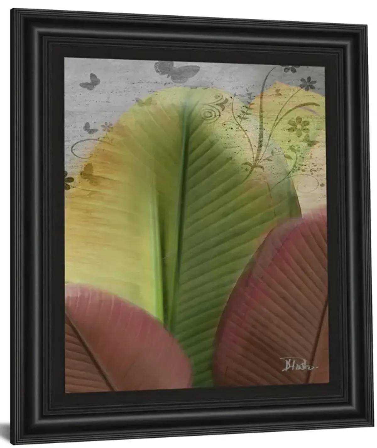 Butterfly Palm I By Patricia Pinto - Framed Print Wall Art - Green