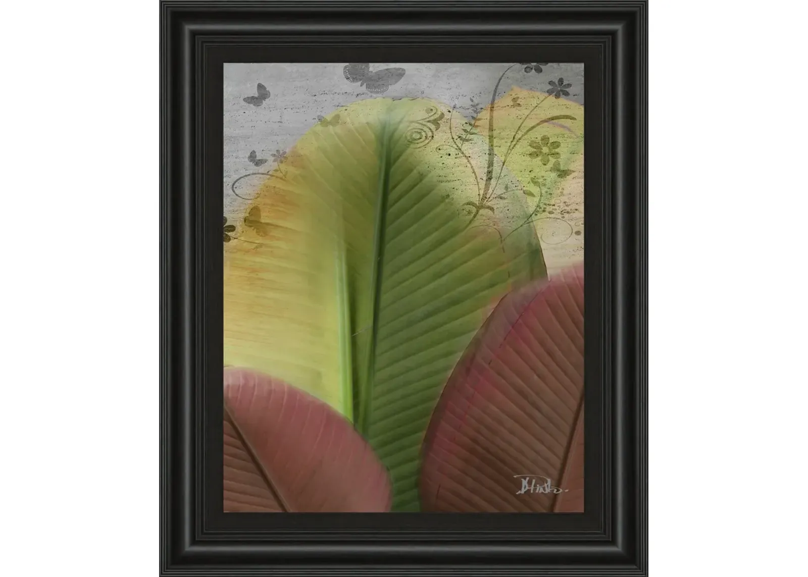 Butterfly Palm I By Patricia Pinto - Framed Print Wall Art - Green