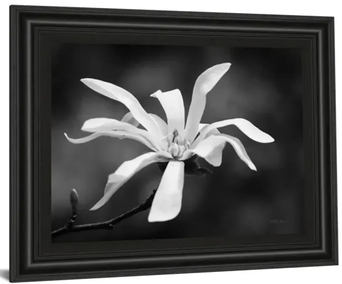 Magnolia Dreams I By Geyman Vitaly - Framed Print Wall Art - White