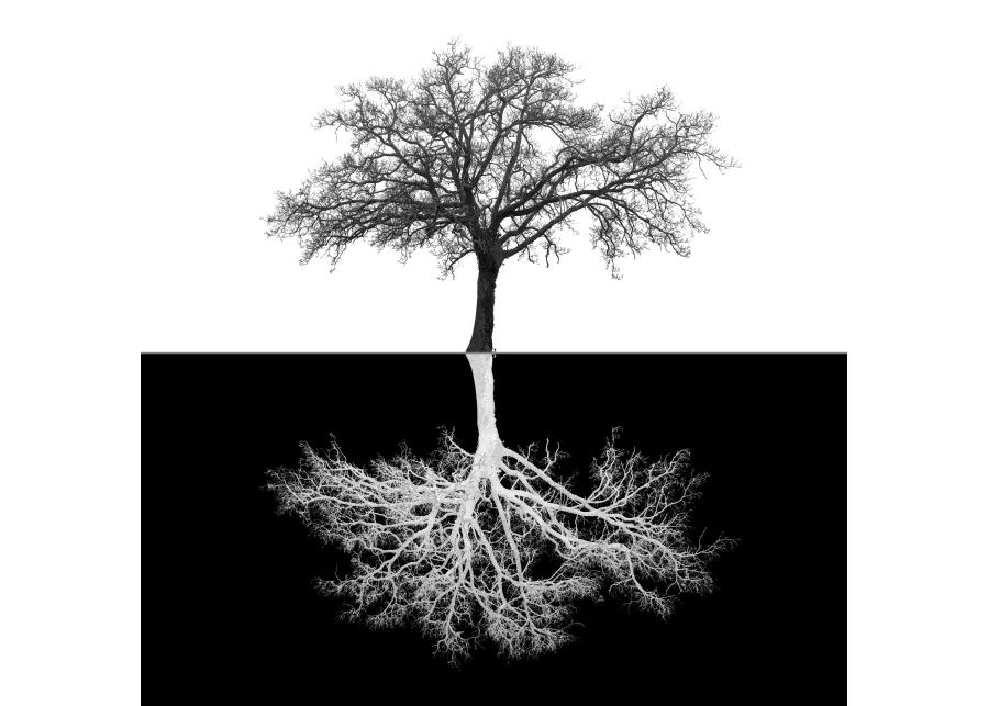 Inverse Tree - Black