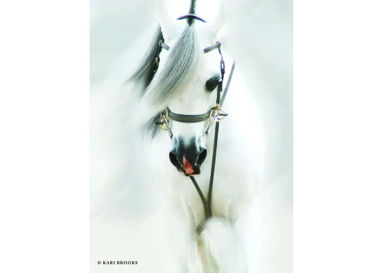 Dream Horse By Kari Brooks - Pearl Silver