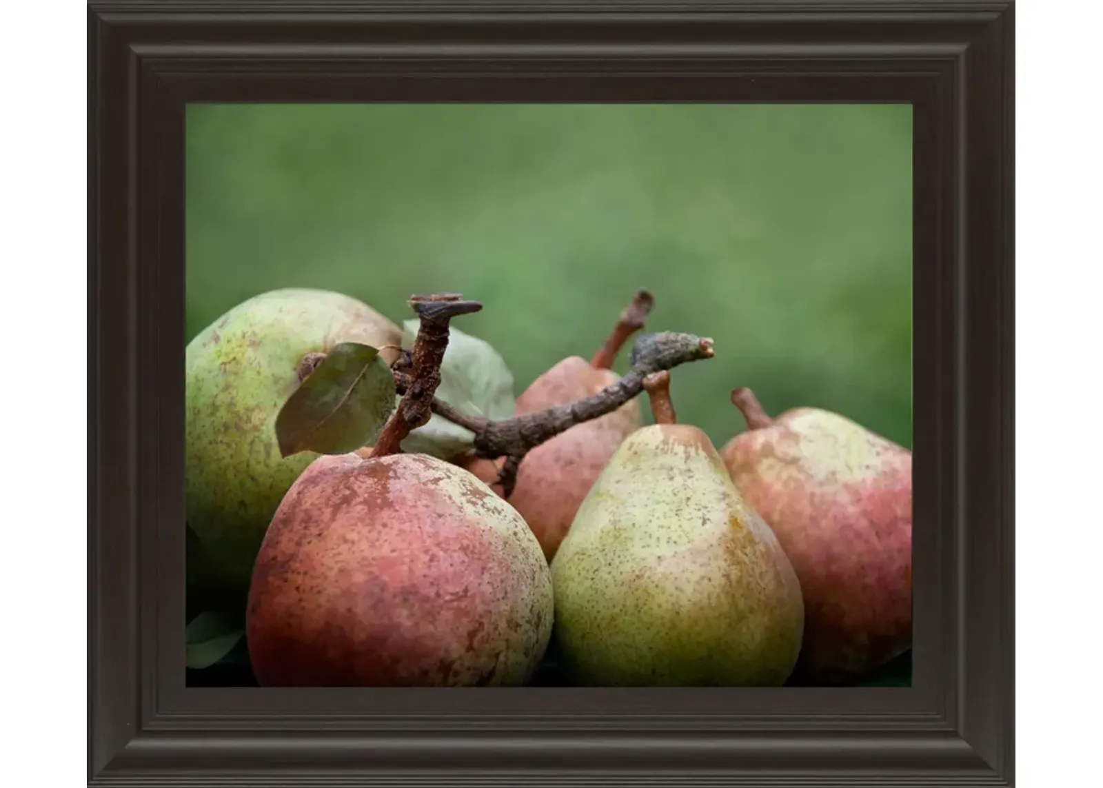 Comice Pear Il By Rachel Perry - Framed Print Wall Art - Green