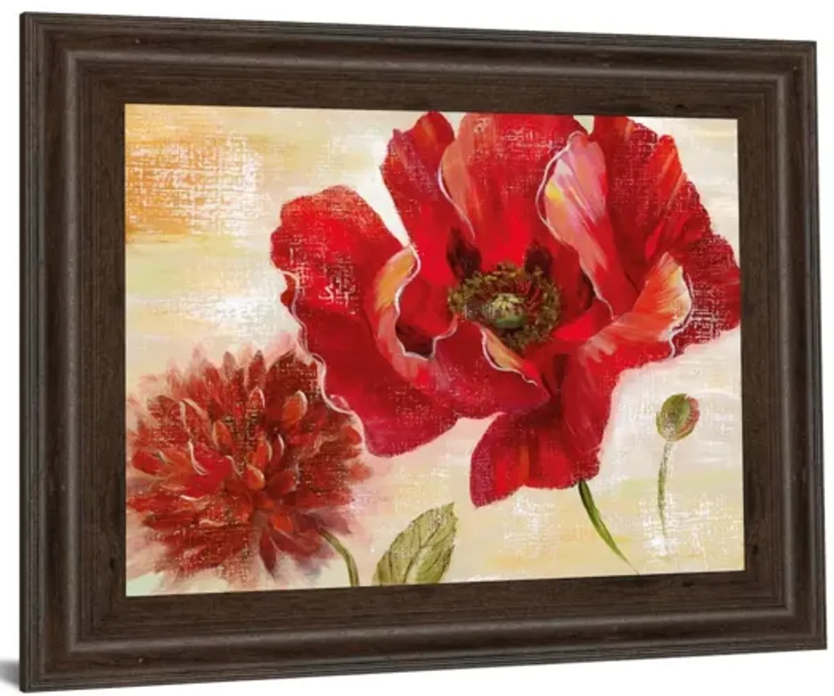 Passion For Poppies Il By Nan - Framed Print Wall Art - Red