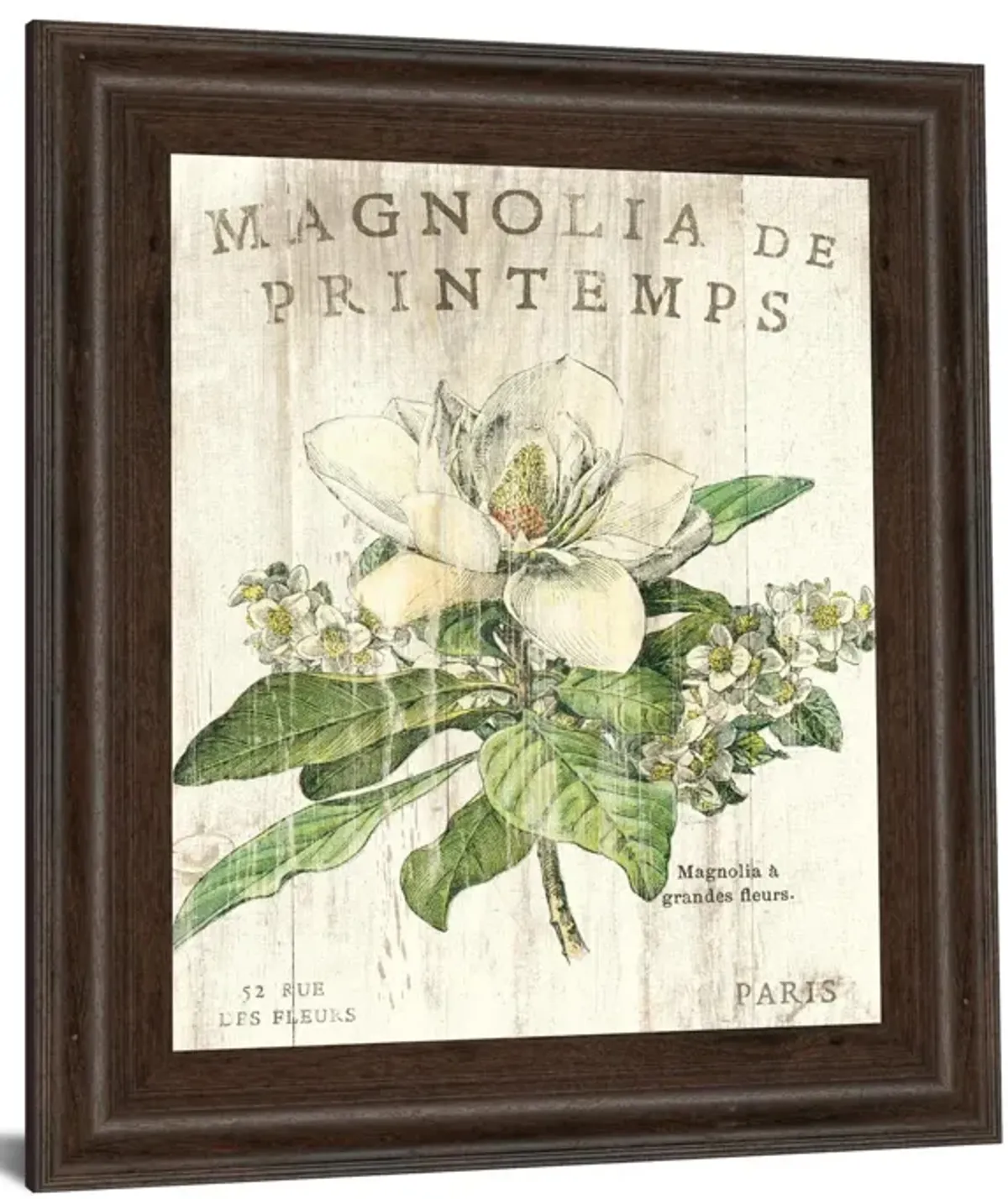 Magnolia De Printemps By Sue Schlabach - Framed Print Wall Art - White