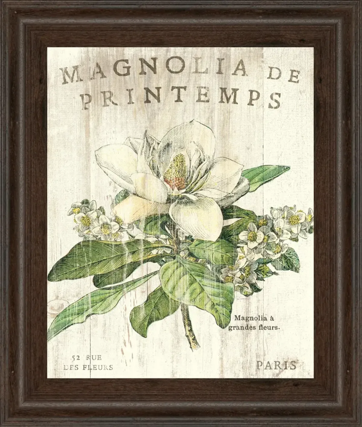 Magnolia De Printemps By Sue Schlabach - Framed Print Wall Art - White