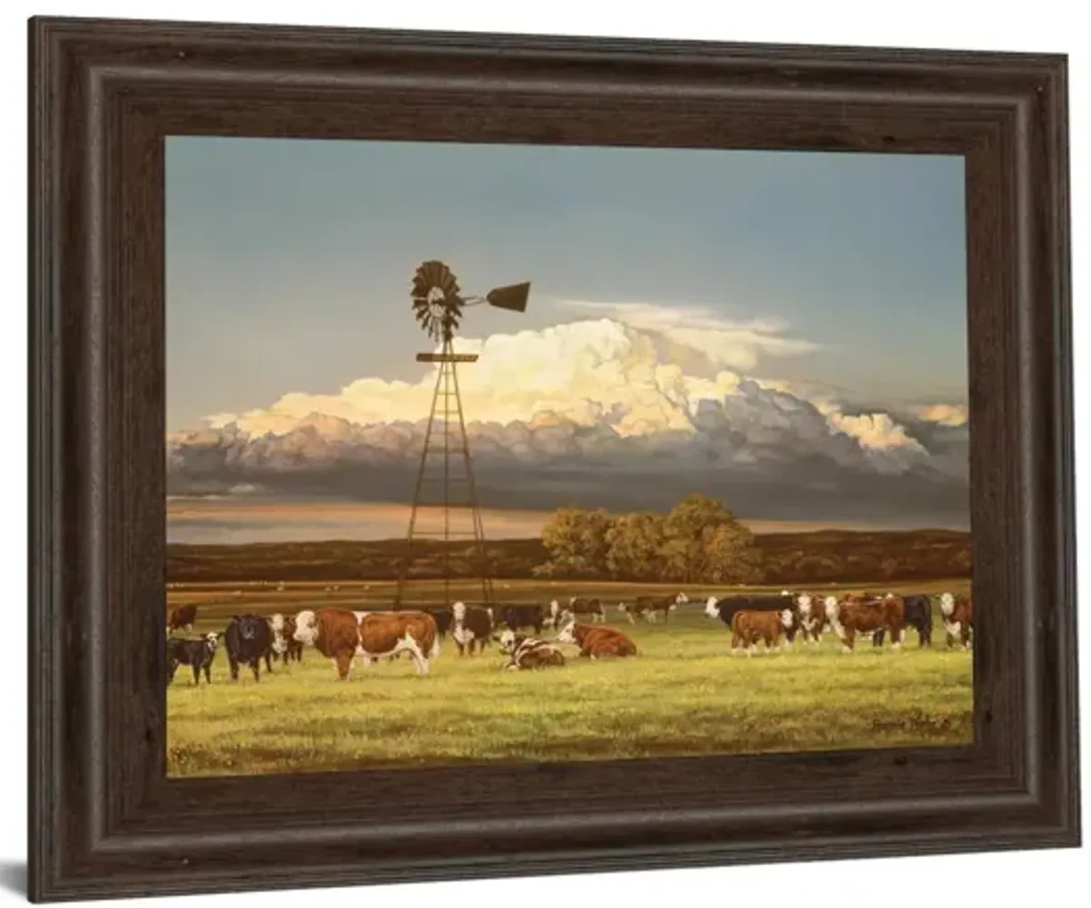 Summer Pastures By Bonnie Mohr - Framed Print Wall Art - Green