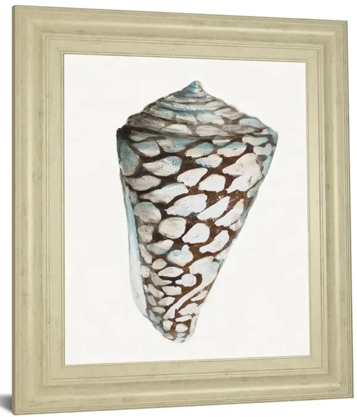 Modern Shell With Teal Il By Patricia Pinto - Framed Print Wall Art - White