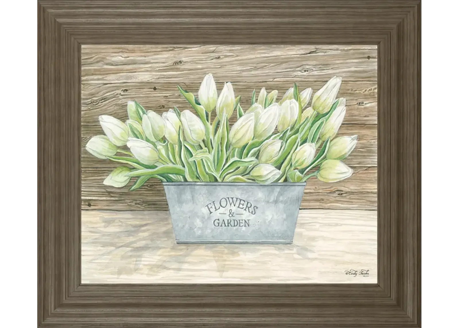 Flowers & Garden Tulips By Cindy Jacobs - Framed Wall Art - Green