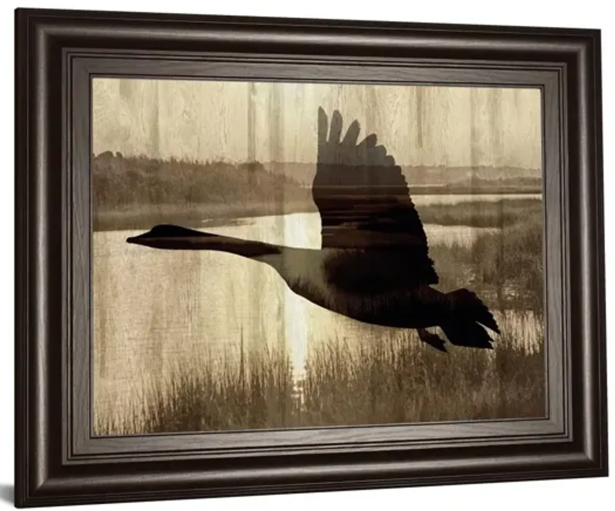 Journey By Tania Bello - Framed Goose Photo Print Wall Art - Black