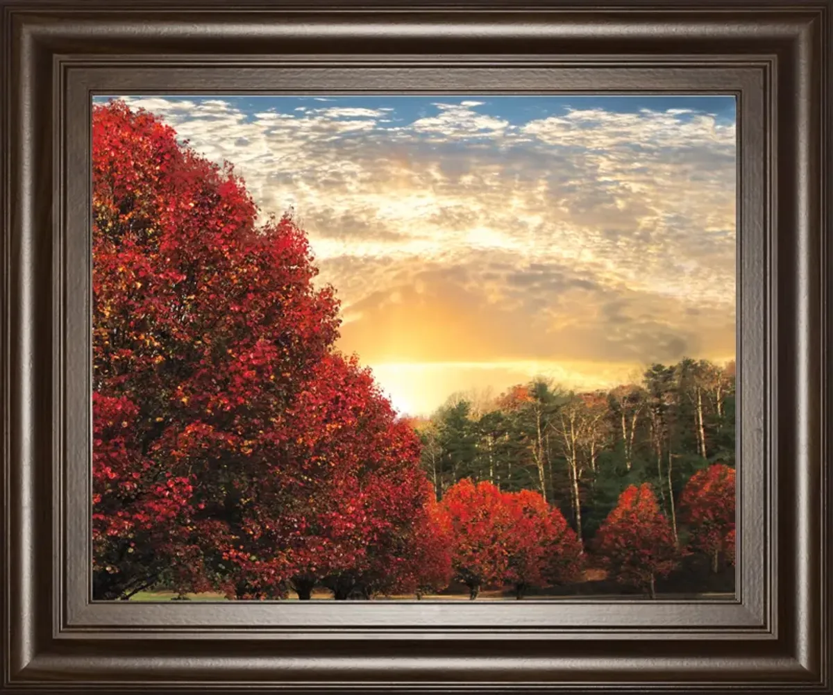 Crimson Tress By Celebrate Life Gallery - Framed Print Wall Art - Red