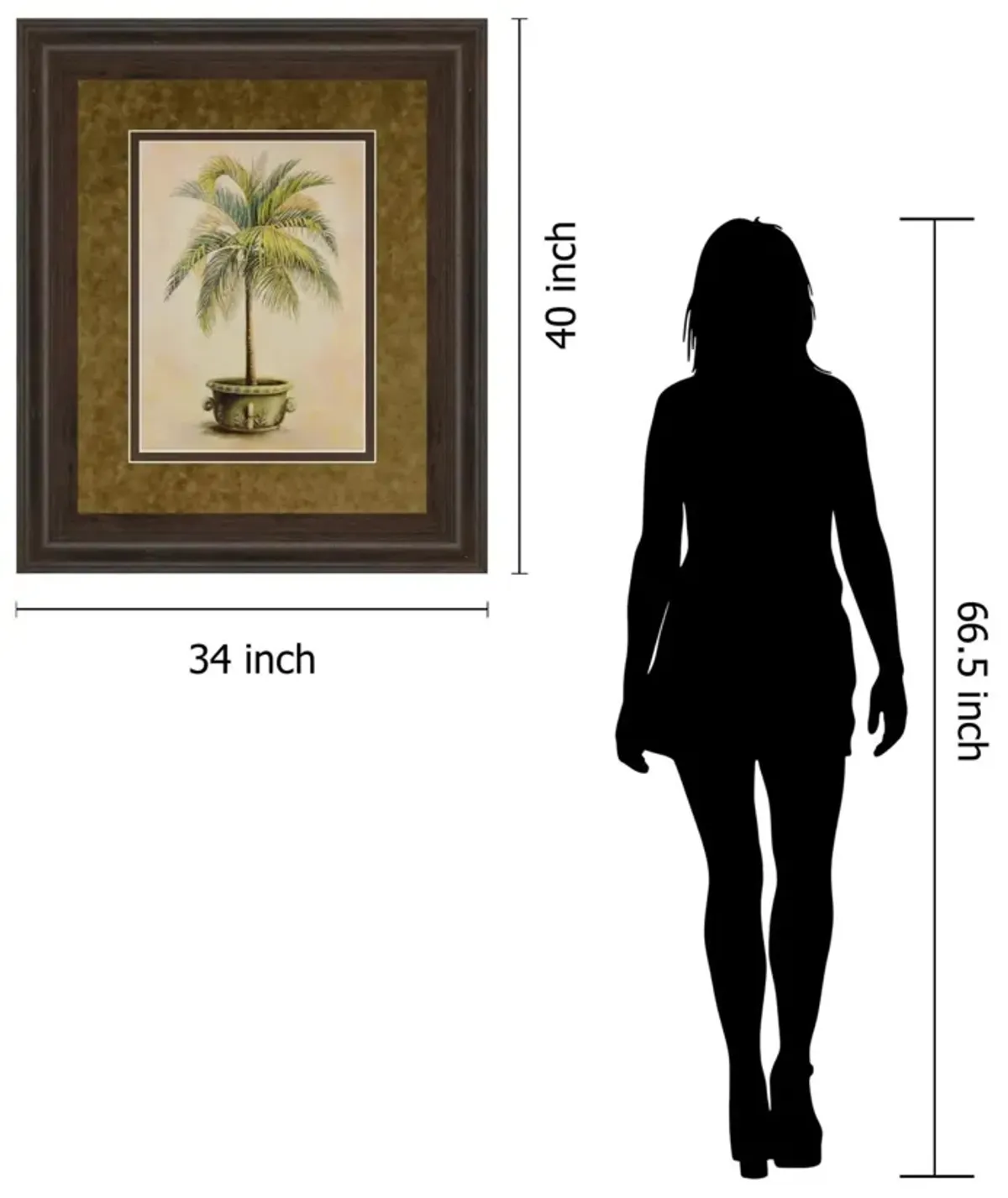 Potted Palm Il - Framed Print Wall Art - Green