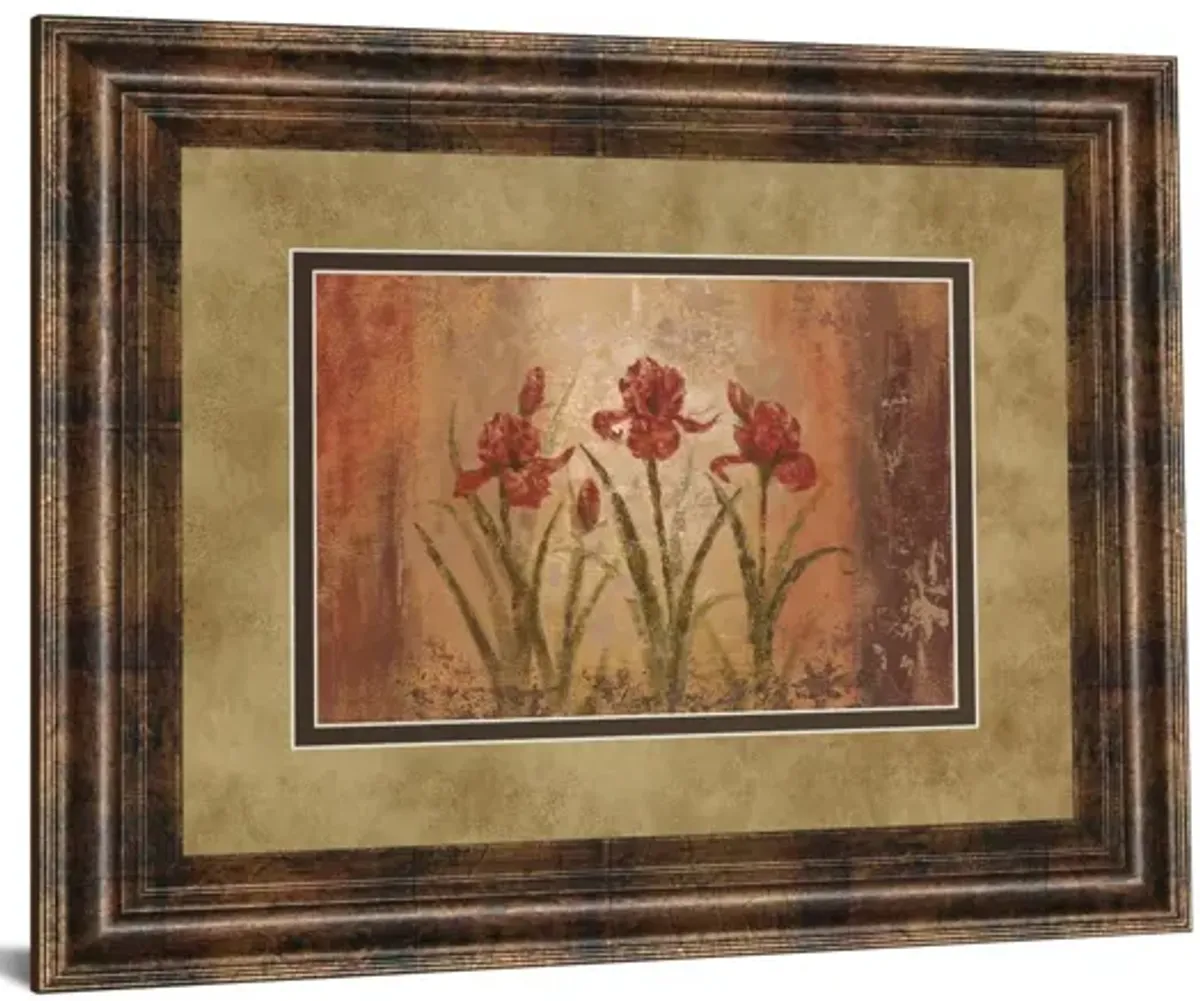 The Iris Style By Vivian Flasch - Framed Print Wall Art - Red