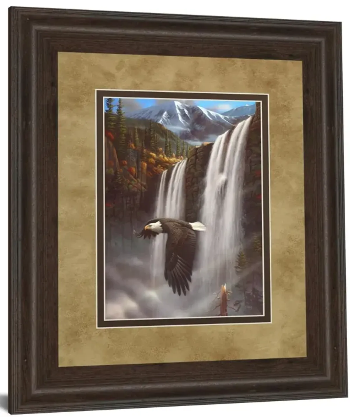 Eagle Portrait I By Leo Stans - Framed Print Wall Art - Black