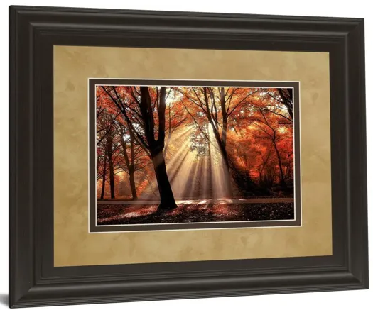 Dressed To Shine By Lars Van De Goor - Framed Print Wall Art - Red