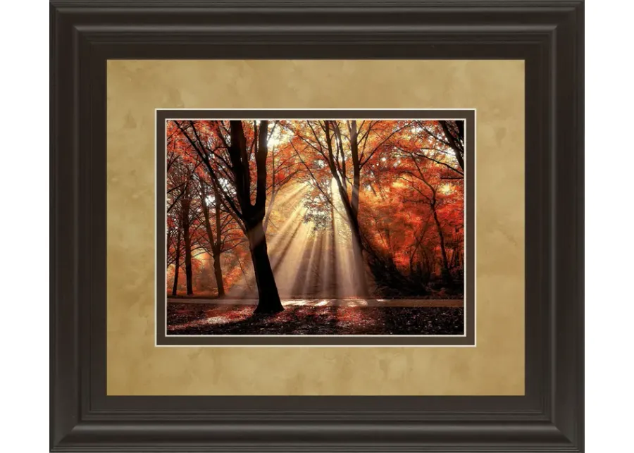 Dressed To Shine By Lars Van De Goor - Framed Print Wall Art - Red