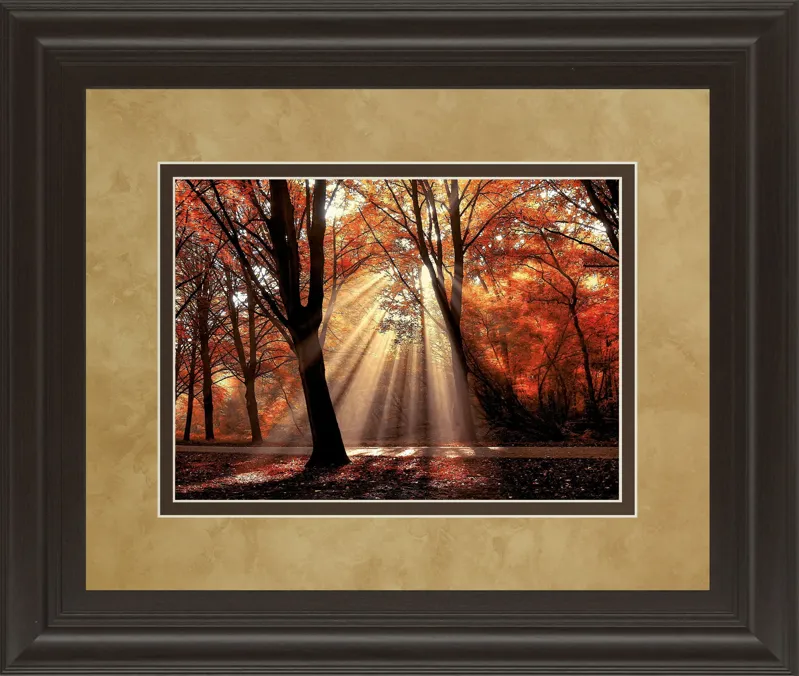 Dressed To Shine By Lars Van De Goor - Framed Print Wall Art - Red