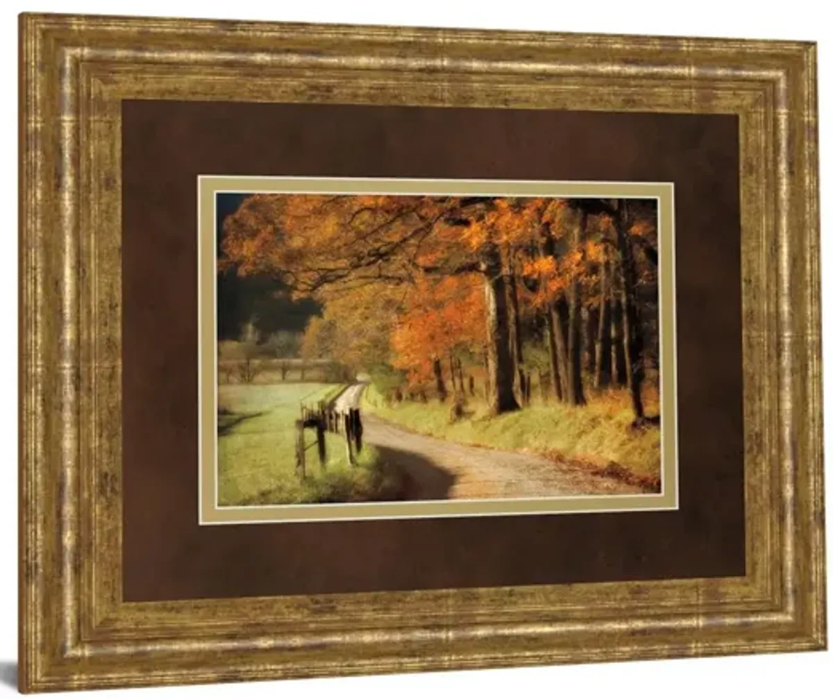 Autumns Morning Light By D. Burt - Framed Print Wall Art - Orange