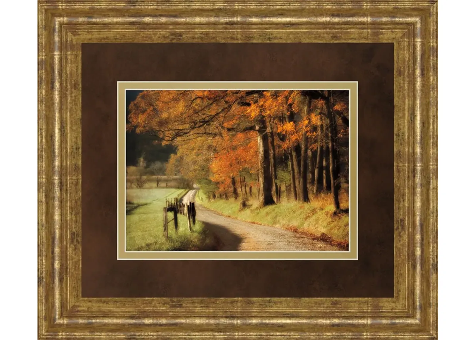 Autumns Morning Light By D. Burt - Framed Print Wall Art - Orange