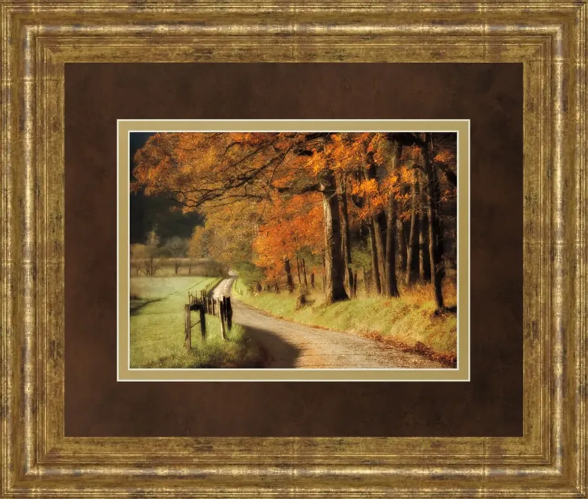 Autumns Morning Light By D. Burt - Framed Print Wall Art - Orange